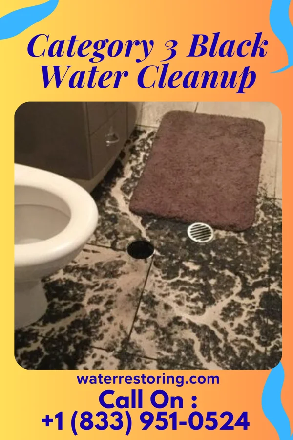 Category 3 Black Water Cleanup in Loudon, TN
