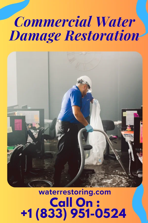 Commercial Water Damage Restoration in Loudon, TN