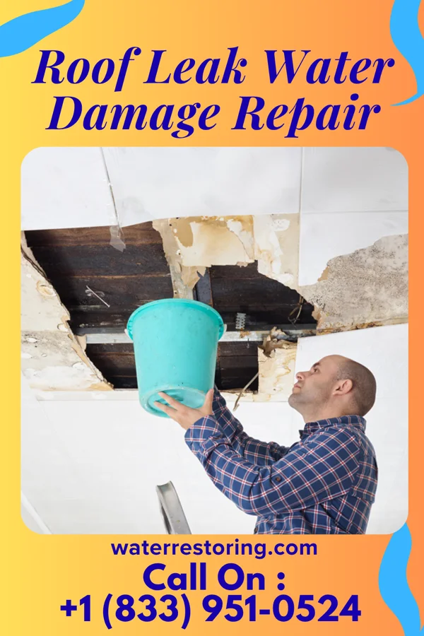 Roof Leak Water Damage Repair in Loudon, TN