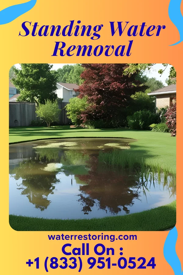 Standing Water Removal in Loudon, TN